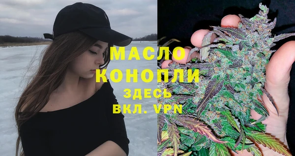 мет Дмитриев