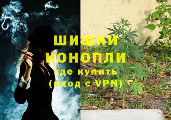 мет Дмитриев