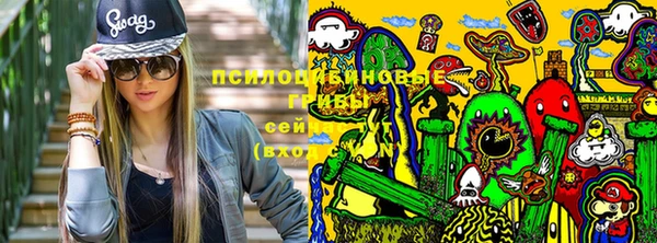 прущая мука Дмитров